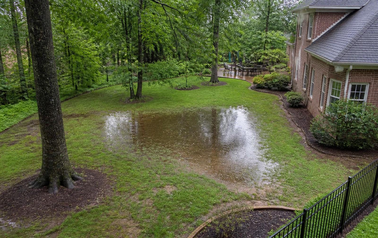 Rainwater standing in a low spot of a wooded Richmond-area backyard beside a brick home